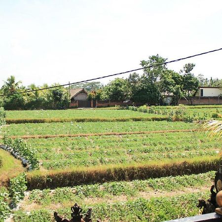 Ancut Sari Hotel Ubud  Bagian luar foto