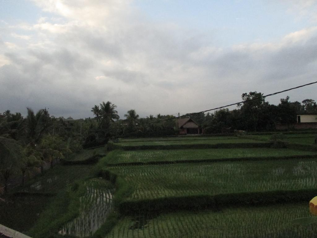 Ancut Sari Hotel Ubud  Bagian luar foto