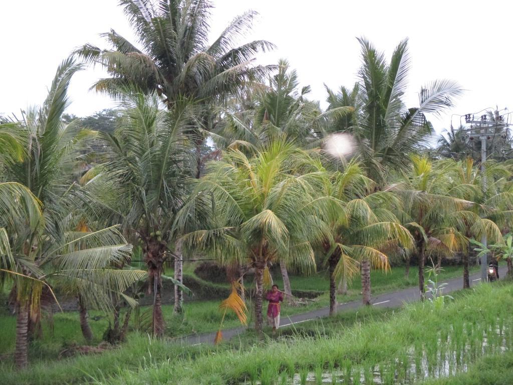 Ancut Sari Hotel Ubud  Bagian luar foto