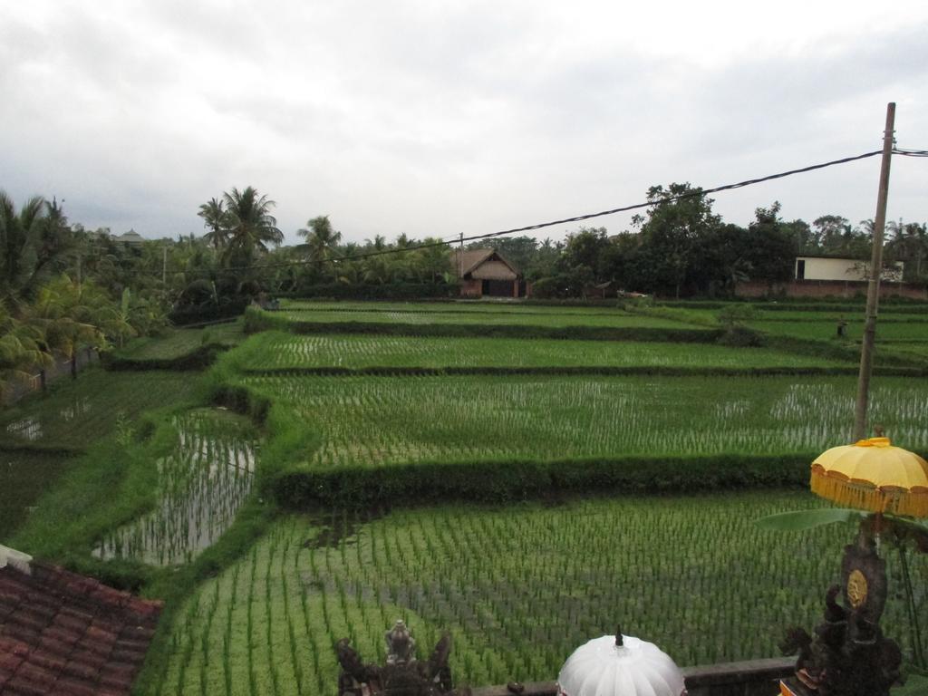 Ancut Sari Hotel Ubud  Bagian luar foto