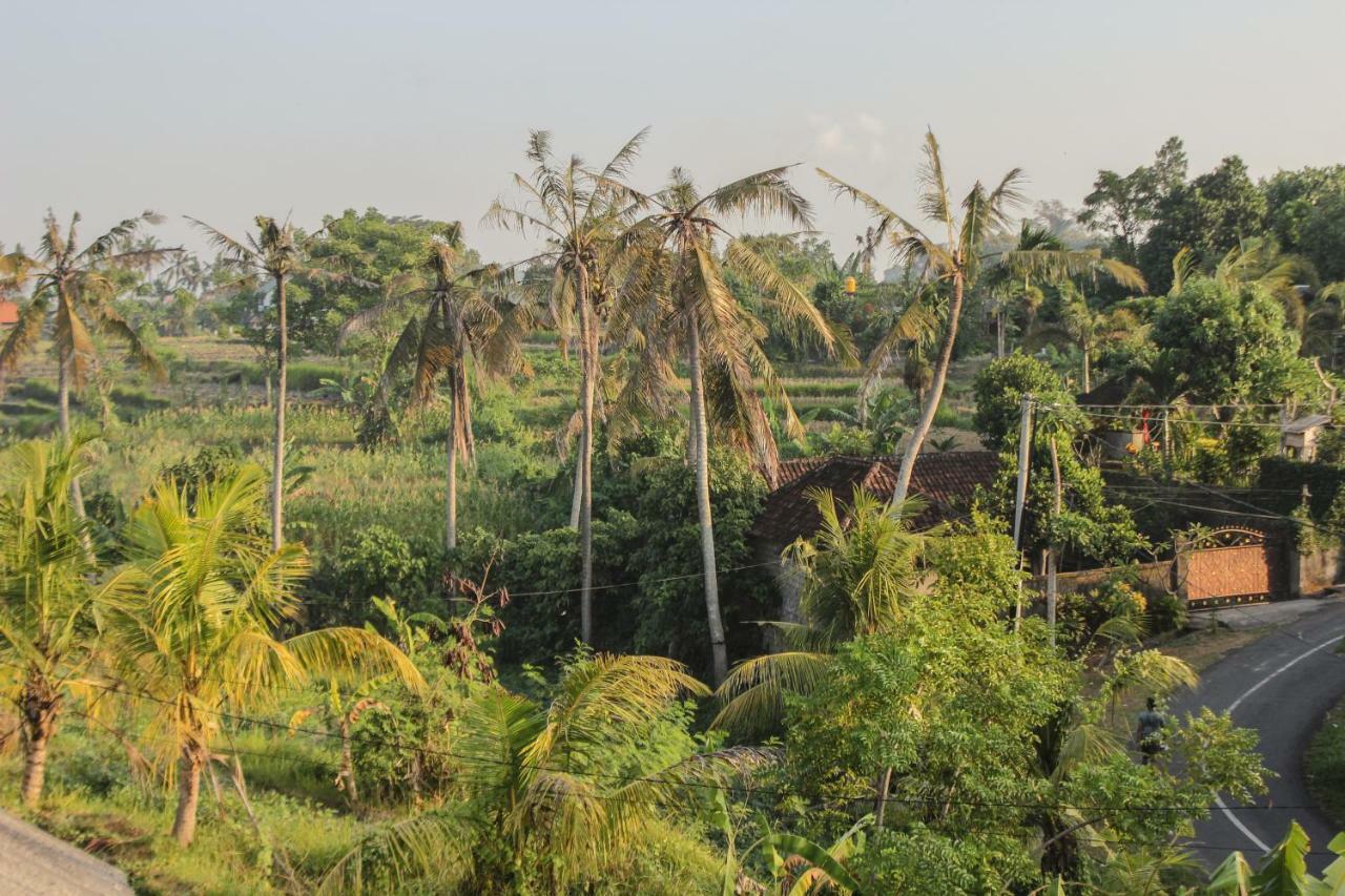 Ancut Sari Hotel Ubud  Bagian luar foto
